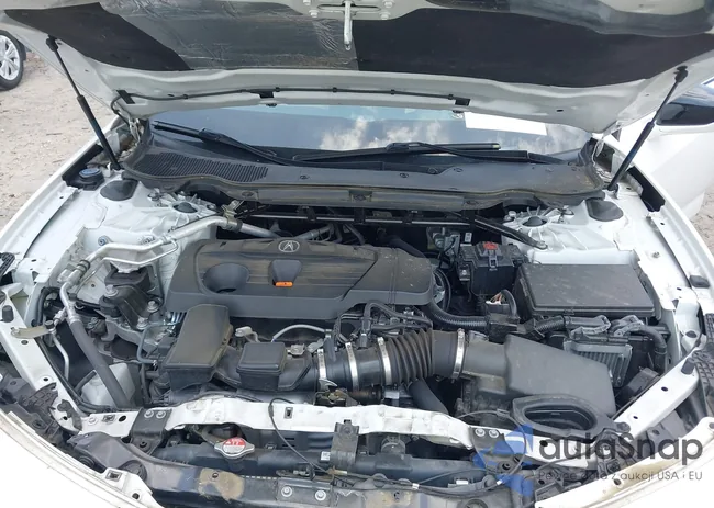 19UUB6F6XMA003533: 42558053