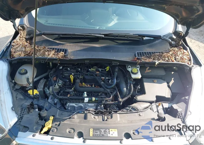 1FMCU9GD5KUA15504: 42557209