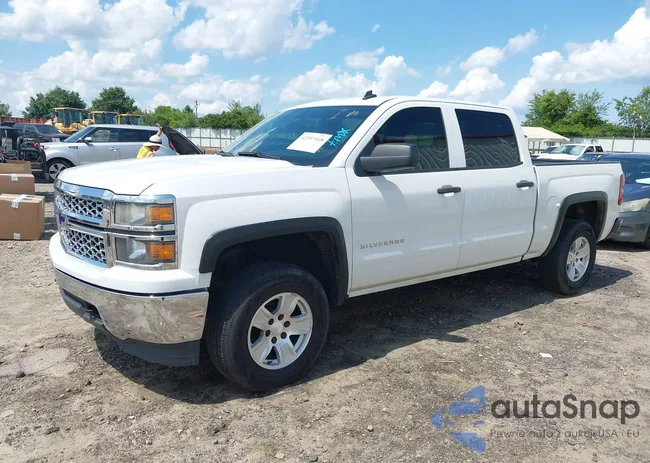 3GCUKREC7EG463954: 42557418