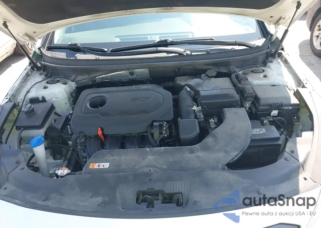 5NPE34AF7FH062854: 42560845