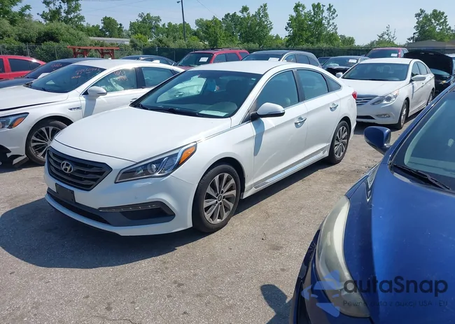 5NPE34AF7FH062854: 42560845