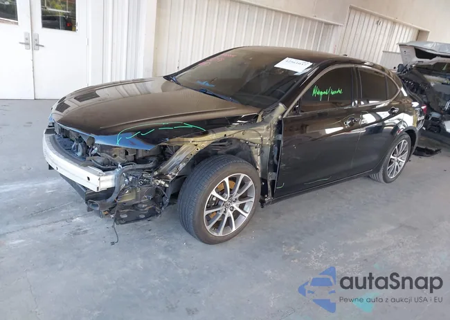 19UUB2F77FA010816: 42561037