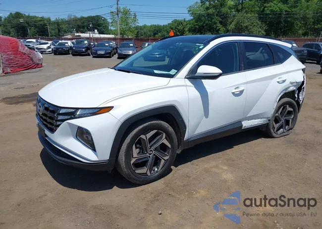 KM8JFCA10NU043096: 42560203