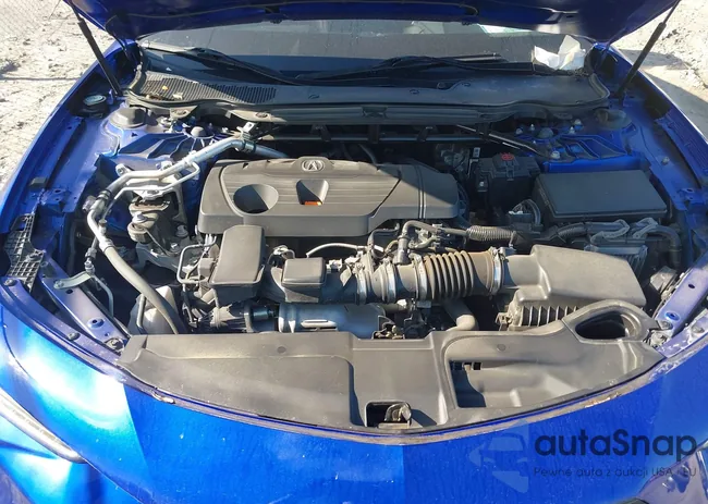 19UUB5F51NA005867: 42560317