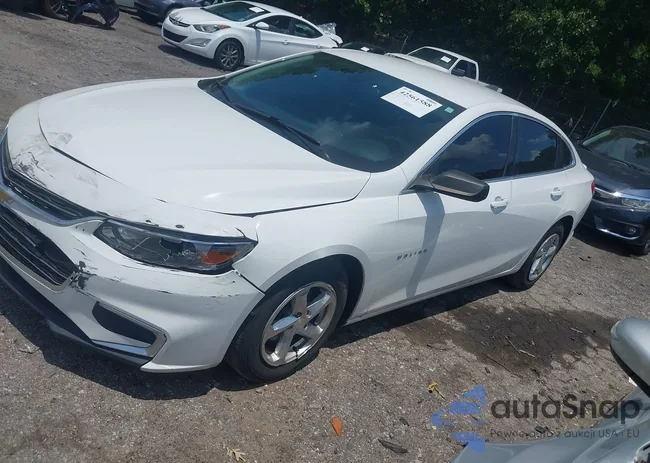 1G1ZB5ST5HF157918: 42561588