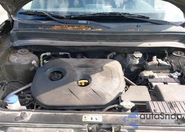 KNDJT2A66D7544686: 42561875