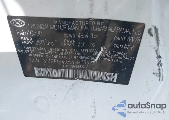 5NPEG4JA6LH036931: 42561899