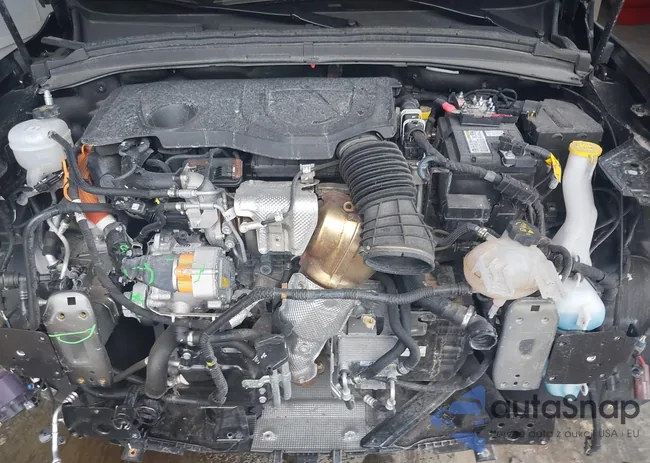 ZASPATDW2R3060146: 42561372