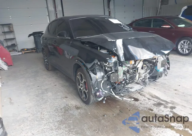 ZASPATDW2R3060146: 42561372