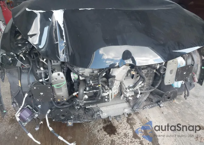 ZASPATDW2R3060146: 42561372