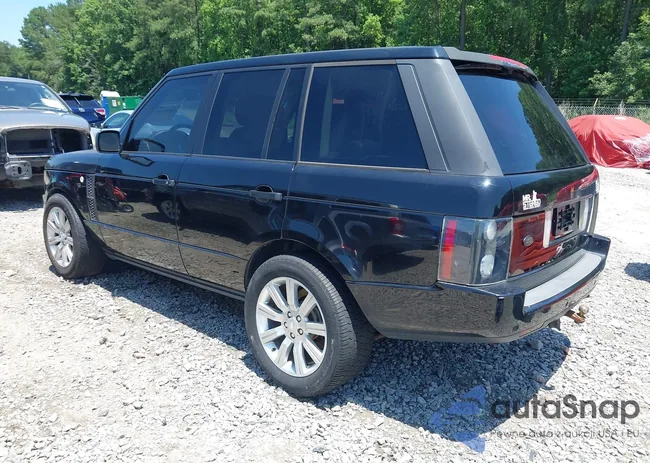 SALMF15466A238724: 42561519