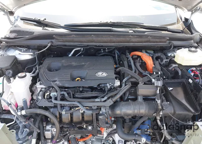 2T2BBMCA9SC072043: 42562866