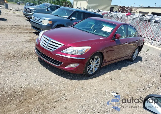 KMHGC4DD5CU184113: 42564042