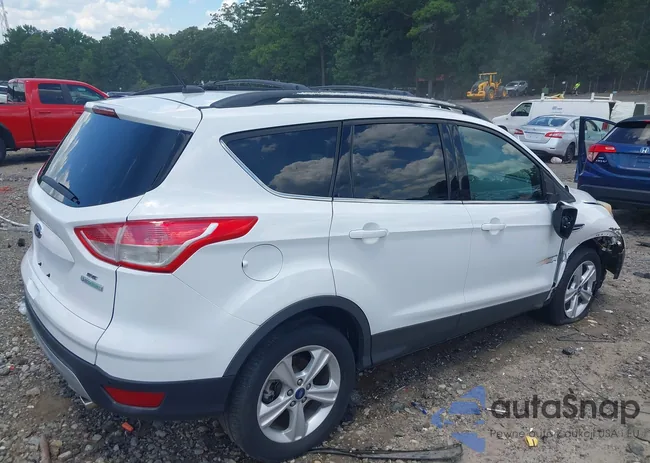 1FMCU0GX2EUB39918: 42564206