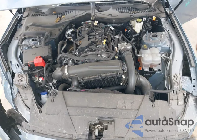 1FA6P8TH3R5129944: 42567612