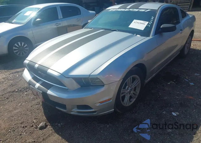 1ZVBP8AM4E5288388: 42569006