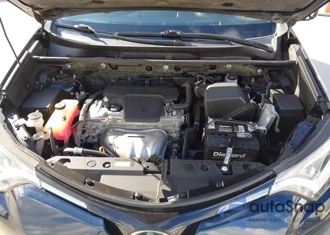 JTMZFREV5JJ208126: 42568280