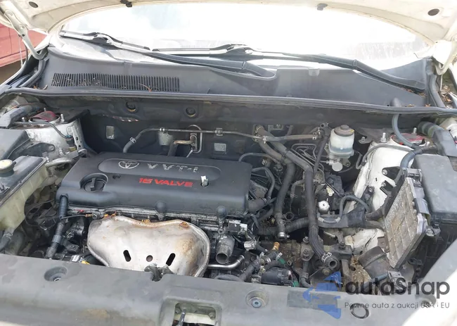 JTMZD33VX66009847: 42569497