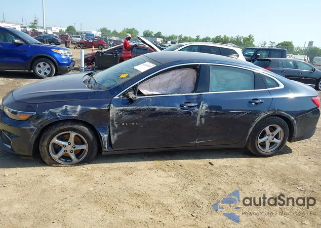 1G1ZB5ST4HF269979: 42569293