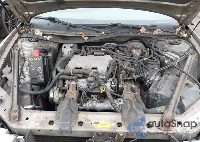 2G4WS52J311330286: 42571209