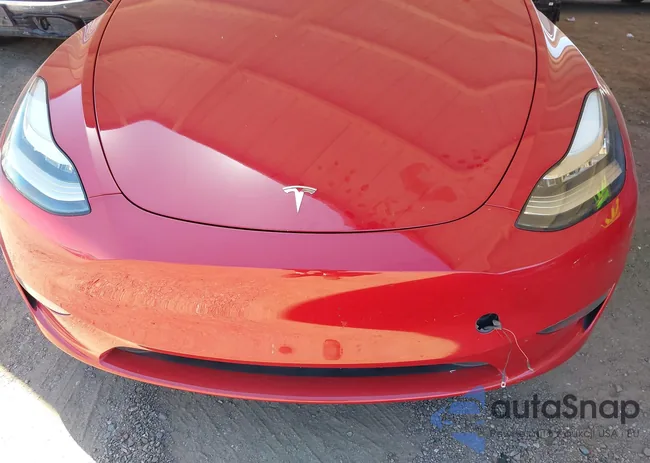 7SAYGDEEXPA031553: 42573488