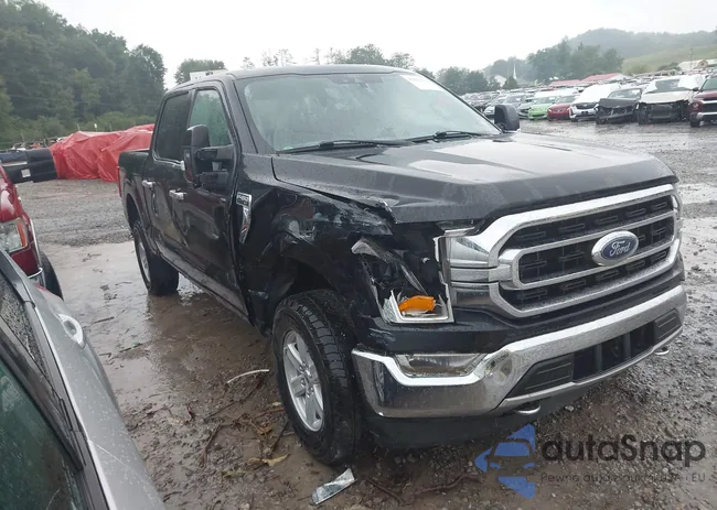 1FTEW1EP0MFA17982: 42576702