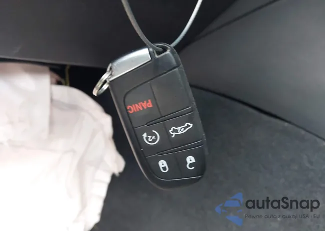 2C3CDXGJ9PH603953: 42576976