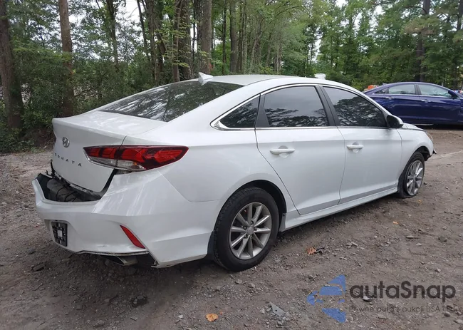 5NPE24AF2KH809208: 42577771