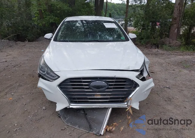 5NPE24AF2KH809208: 42577771