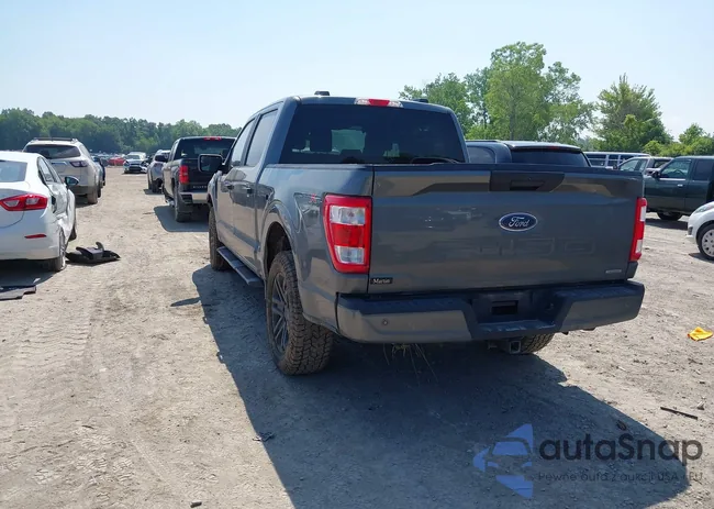 1FTEW1EP1MKD31891: 42578044