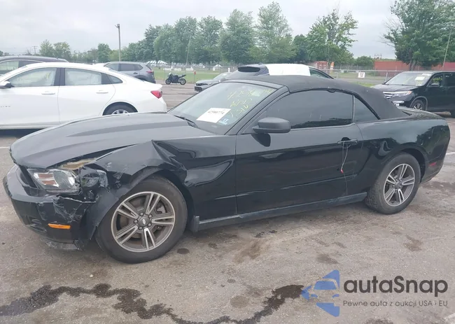 1ZVBP8EM8B5113986: 42580774