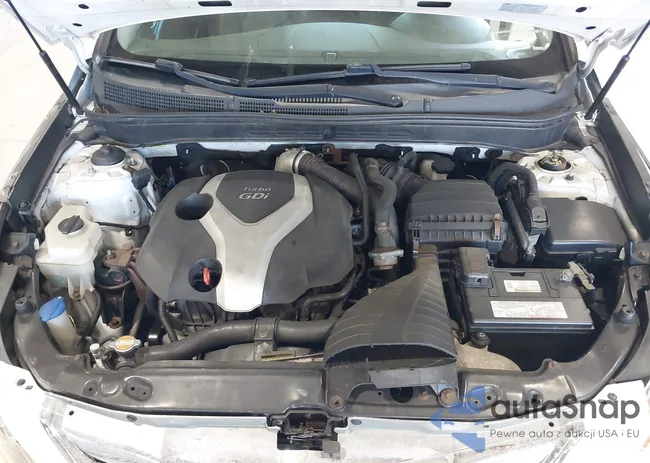 5NPEC4AB5BH221183: 42580266