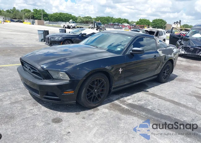 1ZVBP8AM5D5263496: 42580278