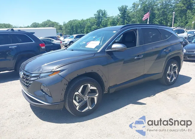 5NMJFCAE0PH199415: 42581112