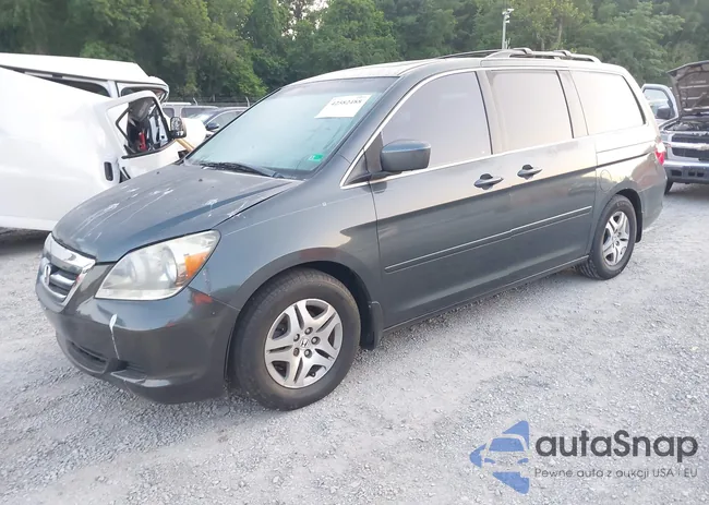 5FNRL38605B406281: 42582488