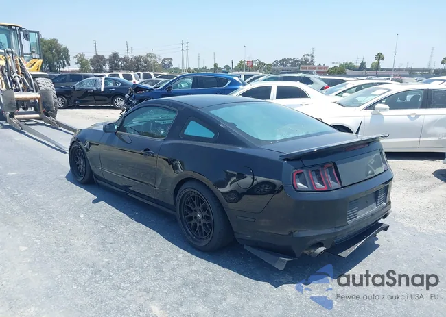 1ZVBP8AMXE5219642: 42584585