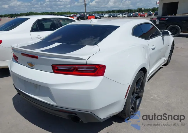 1G1FB1RS1G0164343: 42584887