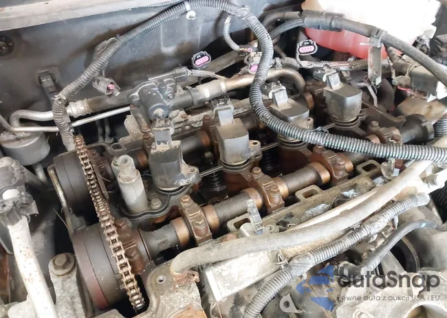 1G1ZC5EB5AF299871: 42584429