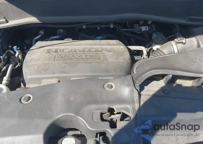 5FNYF4H9XFB024862: 42585794