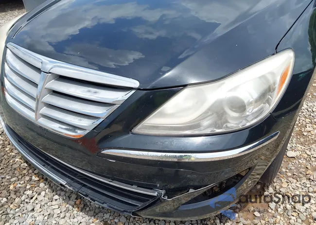 KMHGC4DDXDU217432: 42585128