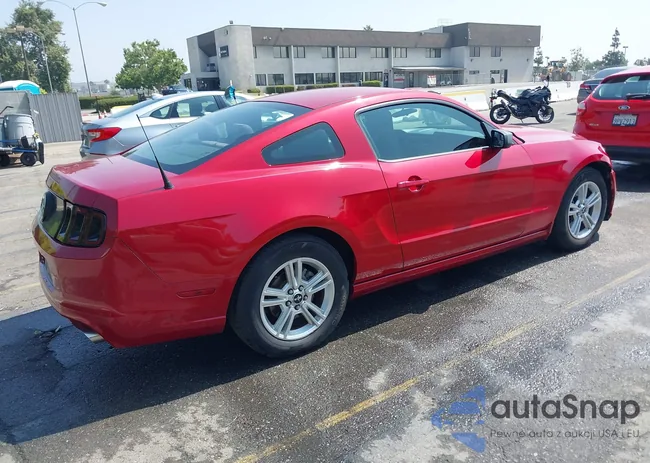 1ZVBP8AM8D5203535: 42587828