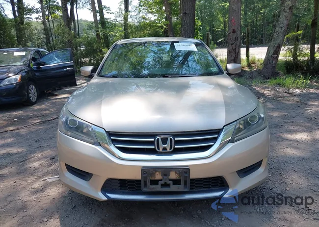 1HGCR2F3XDA099881: 42589483