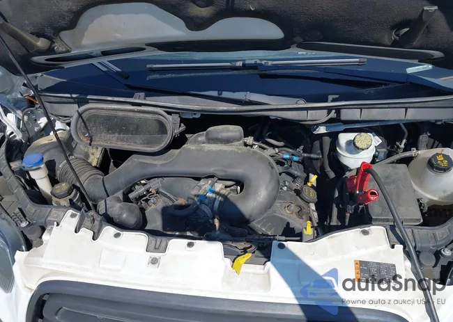 1FBZX2ZM2GKA01299: 42590732