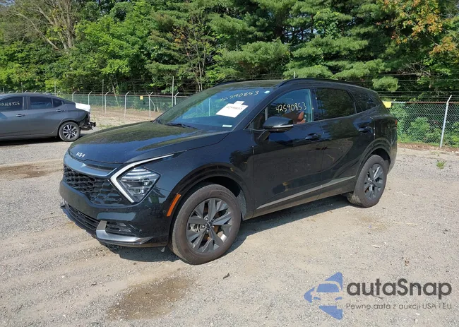 KNDPXCAG8P7075943: 42590853