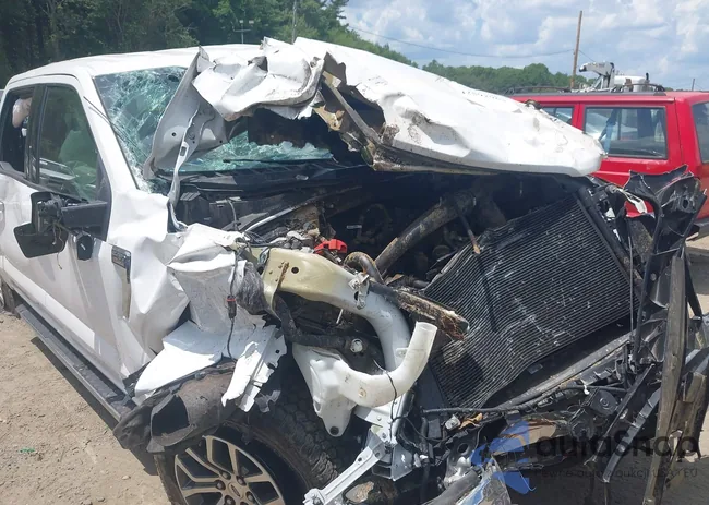 1FTEW1EP6MKE12613: 42592964