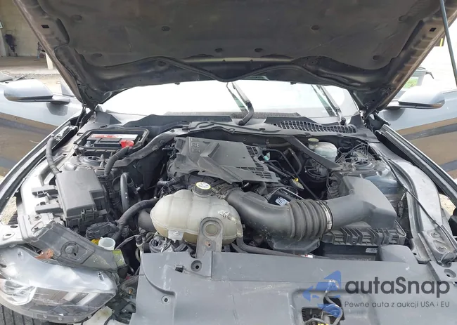 1FATP8EM9F5324441: 42593548