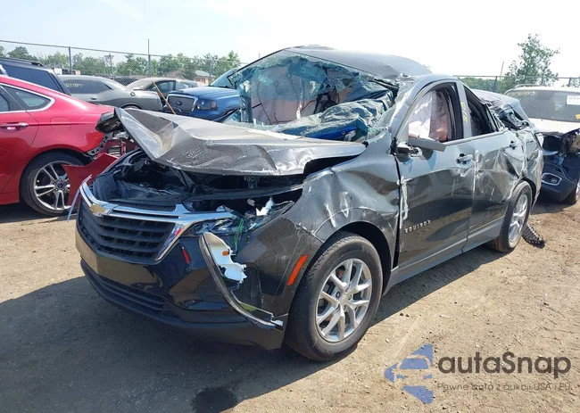 3GNAXHEG1RL317684: 42593650