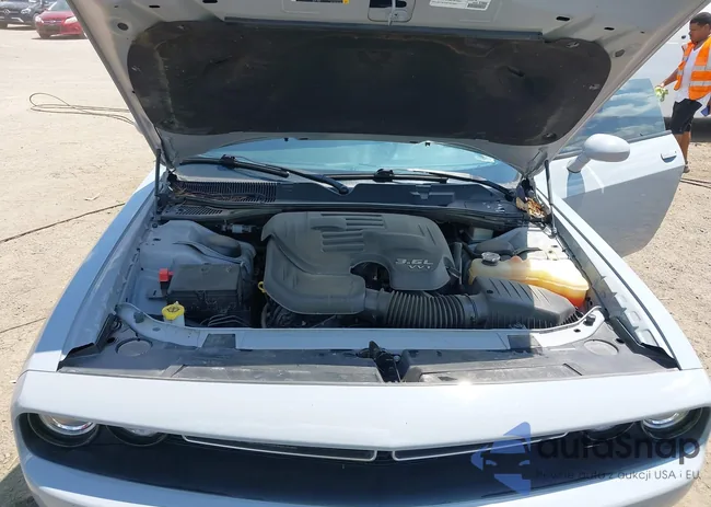 2C3CDZAG9MH538638: 42593682