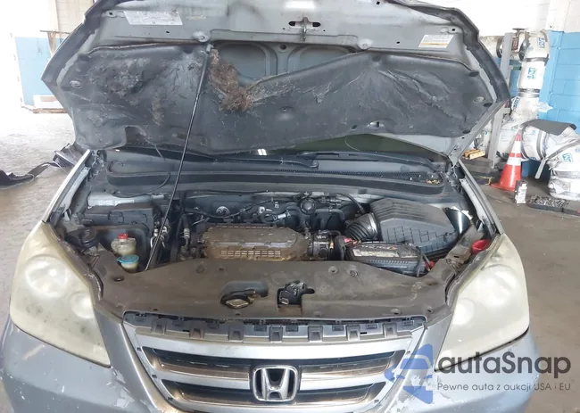 5FNRL38825B116237: 42593776