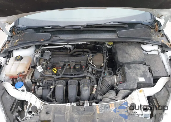 1FADP3K29FL213152: 42593783